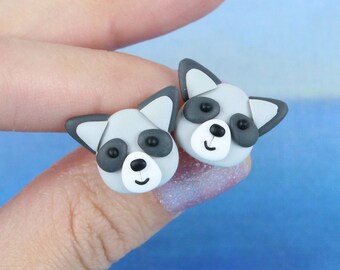 Brincos de pino de cara de guaxinim, presente para crianças amantes do zoológico, brincos de animais selvagens, joias fofas de guaxinim