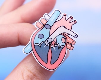 Anatomical Heart Pin Brooch, Doctor Gift, Human Heart Glazed Pin, Medical Pin Brooch, Cardiologist Gift, Medical Student Gift