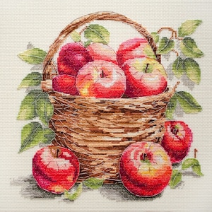 Apple Harvest Cross-Stitch Kit: Autumn Embroidery DIY (9.05 x 9.05 inch)