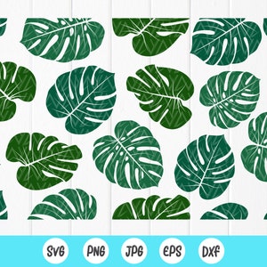 Monstera Leaves seamless design decal SVG, Monstera Leaf design SVG, Monstera Leaves clipart svg, Instant Download files for Cricut