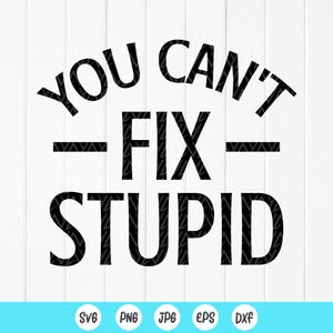 You Can't Fix Stupid SVG, Svg drôle, Svg sarcastique, Svg cadeau personnalisé, dictons drôles SVG, Svg sarcasme, fichiers à téléchargement immédiat pour Cricut