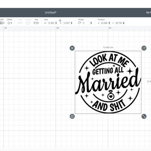 Look at Me Getting All Married and Shit Svg,bachelorette Party Svg ...