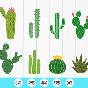 Cactus svg, Suculento svg, cactus svg para camisas, Cactus png, cactus clipart, Cactus bundle svg file, Instant Download files for Cricut