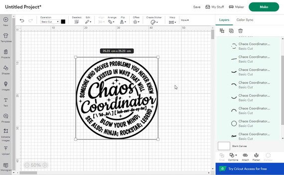 Chaos Coordinator Definition SVG PNG, Funny Mom Life Design,gift