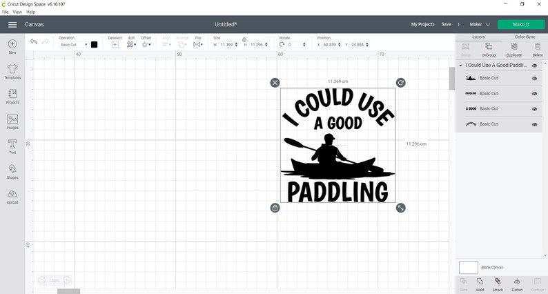 May include: Black and white silhouette design of a person in a kayak with a paddle, with the text "I could use a good paddling" above the image.