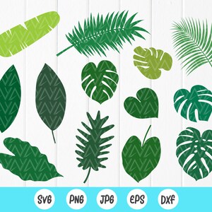 Tropische Blätter Svg,Dschungel Blätter,Monstera Blatt Svg,Palmblatt Svg,tropisches Blatt minimal Wand Dekor,Instant Download Dateien für Cricut