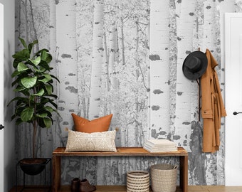 Colorado Birch Tree Aspens Wall Mural / Wallpaper