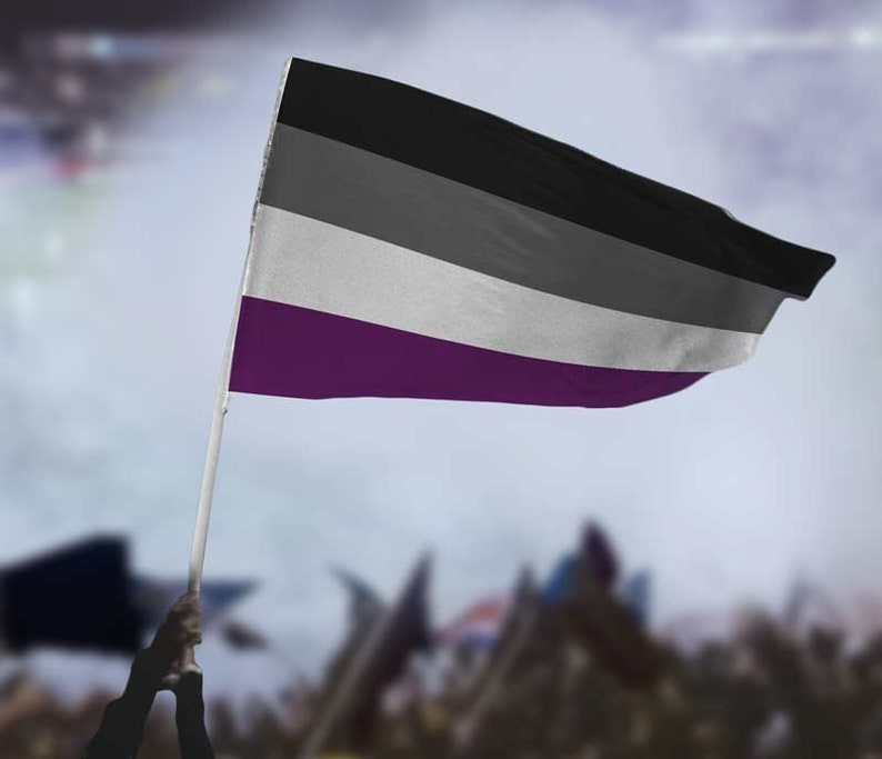 Bandera del orgullo asexual As - Etsy España