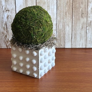May include: A white planter with a textured surface and a round moss ball on top. The planter is made of concrete and has a unique design.