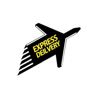 Express Delivery Shipping