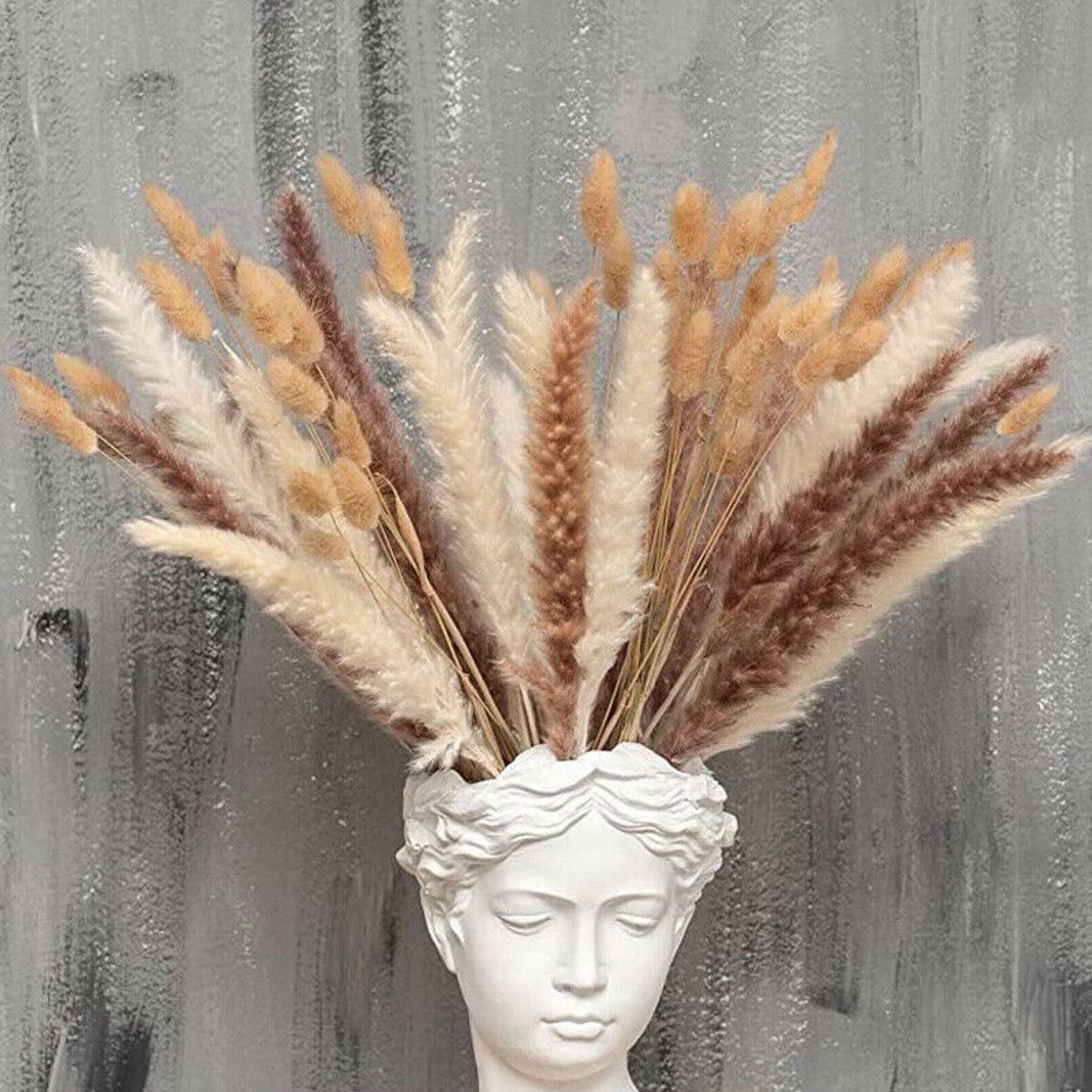 Natural Dried Pampas Grass White Rabbit Tail Grass Reed Etsy