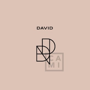 Premade Name Logo (David) - TikTok Custom Name Logo - Digital File Instant Download