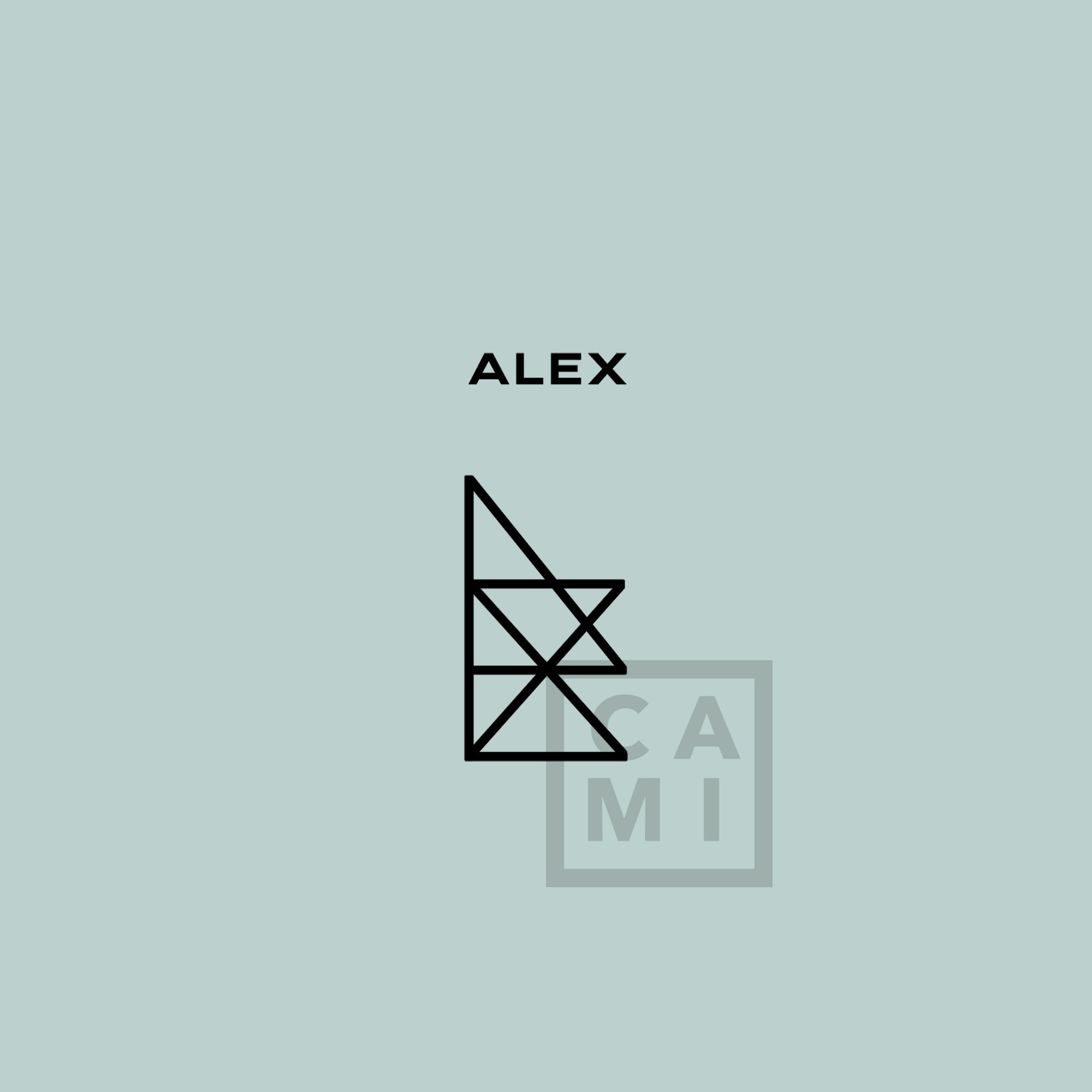 Premade Name Logo alex Tiktok Custom Name Logo Digital - Etsy Premade Name Logo alex Tiktok Custom Name Logo Digital - Etsy