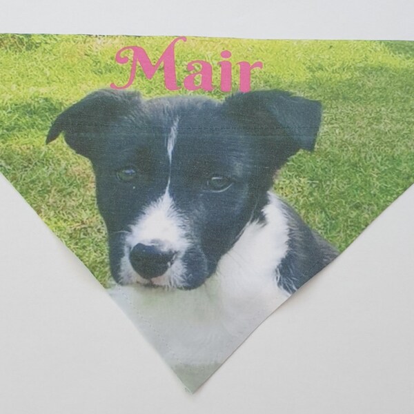 Dog Bandana Etsy
