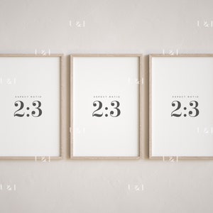 May include: Three framed prints with a light wood frame. Each print has a white background with black text that reads "ASPECT RATIO 2:3".