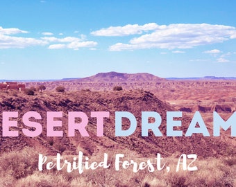 Dreamy Petrified Forest Screensaver/Desktop Background!