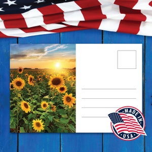 Postales de votación para enviar por correo postal - Postal de votante de 4 x 6 - Postales de votante más vendidas - Postales de votación para voluntarios - Postales para votantes