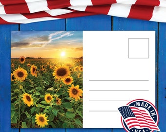 Vote Postcards for Mailing, Voter Post Card 4 x 6, Top Selling Voter Postcards, Vote Postcards for Volunteers, Postcards to Voters