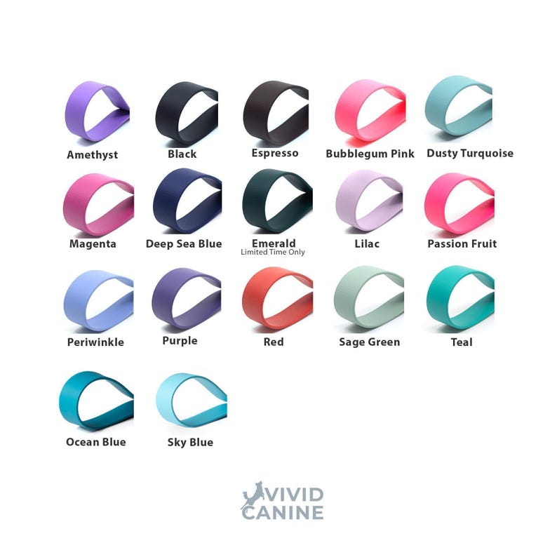 Rolled Biothane gear color chart