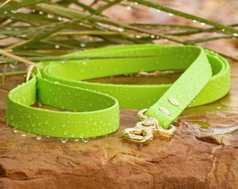 BioThane® Waterproof Dog Leash - Lime