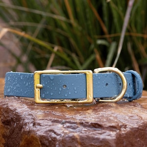 BioThane® Waterproof Buckle Dog Collar - Steel Blue