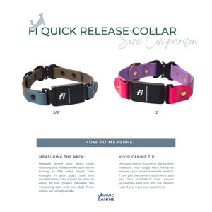 Two dog collars with quick release features and size comparison chart on a white background.