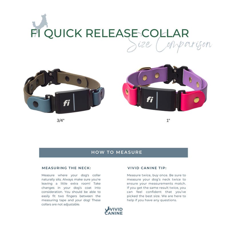 Two dog collars with quick release features and size comparison chart on a white background.
