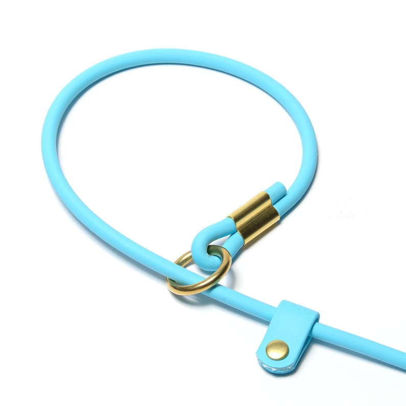 close up of a sky blue rolled slip lead with solid brass hardware on a white background