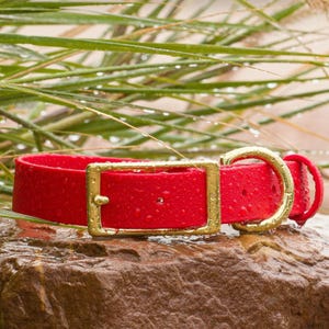 BioThane® Waterproof Buckle Dog Collar - Red