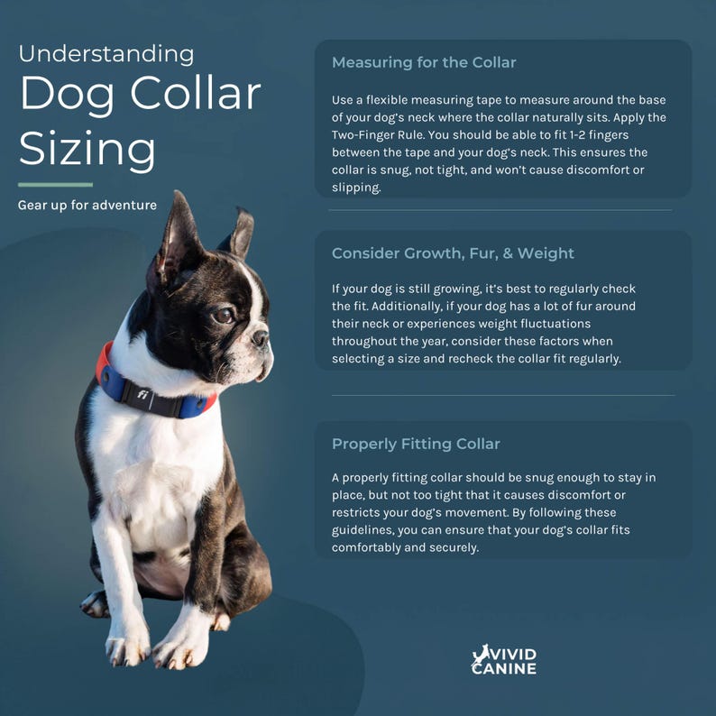 The image is a collage of three images, each depicting a dog wearing a collar. The collage is titled "Understanding Dog Collar Sizing" and provides information on how to properly fit a dog's collar.