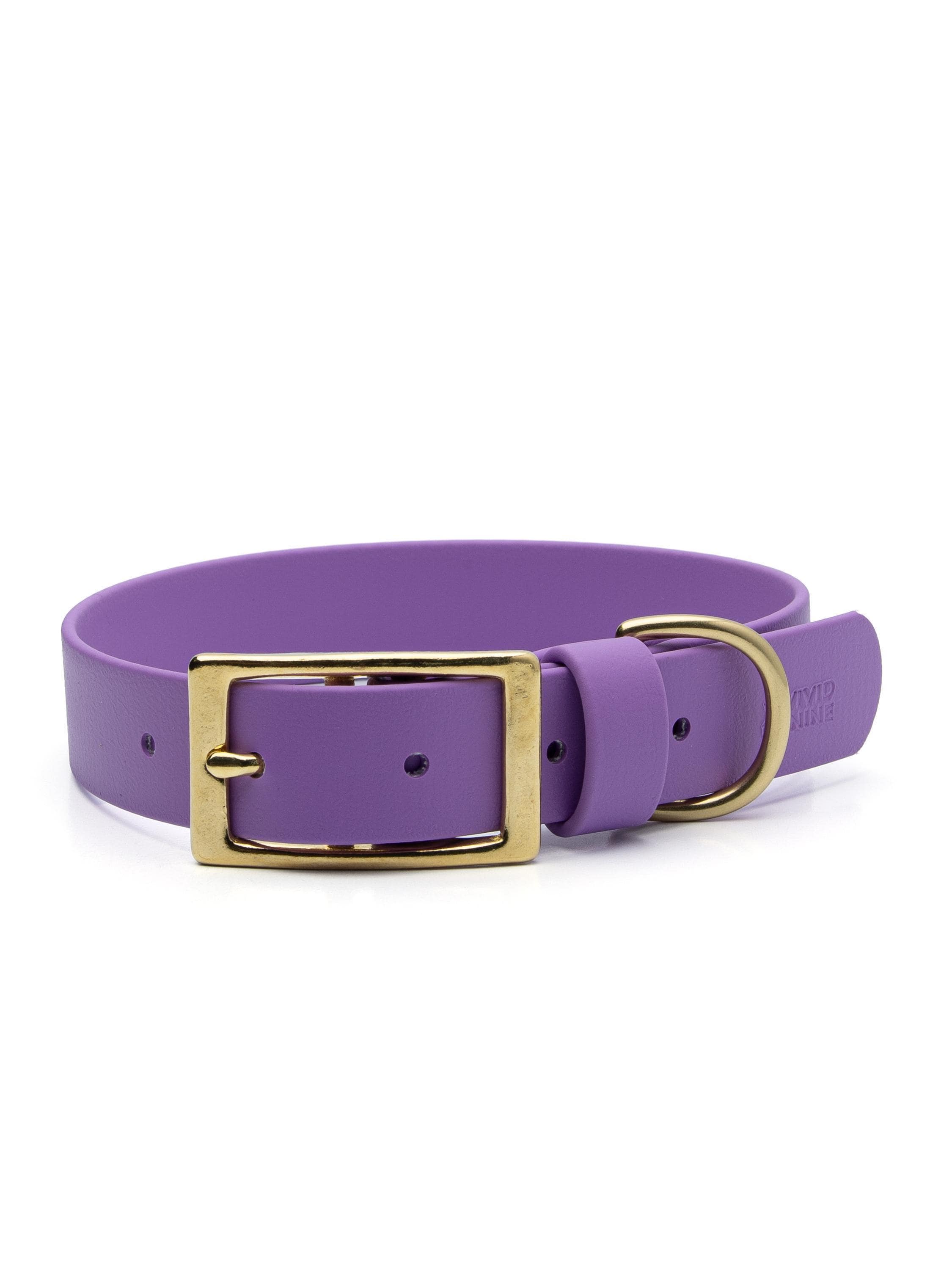 Biothane® Waterproof Buckle Dog Collar - Amethyst