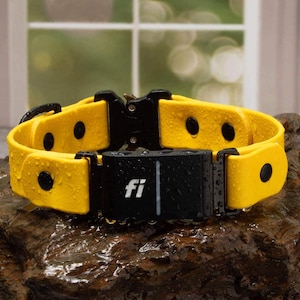 A yellow dog collar with a black buckle and a black fi device attached, placed on a rock.