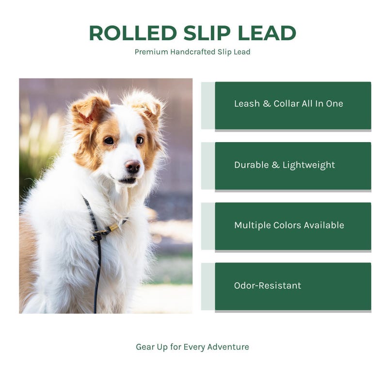 a rolled slip lead infographic showing the benefits of a biothane slip lead