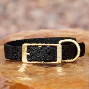BioThane® Waterproof Buckle Dog Collar - Black