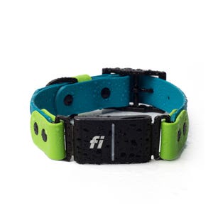 Fi Series 3/3+ Compatible - BioThane® Waterproof Inline Buckle Collar