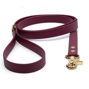 BioThane® Waterproof Dog Leash - Wine