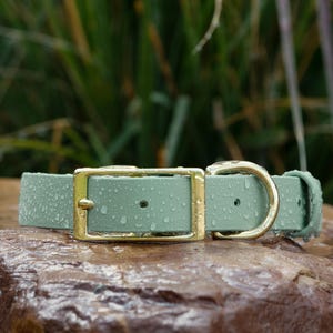 BioThane® Waterproof Buckle Dog Collar - Sage Green