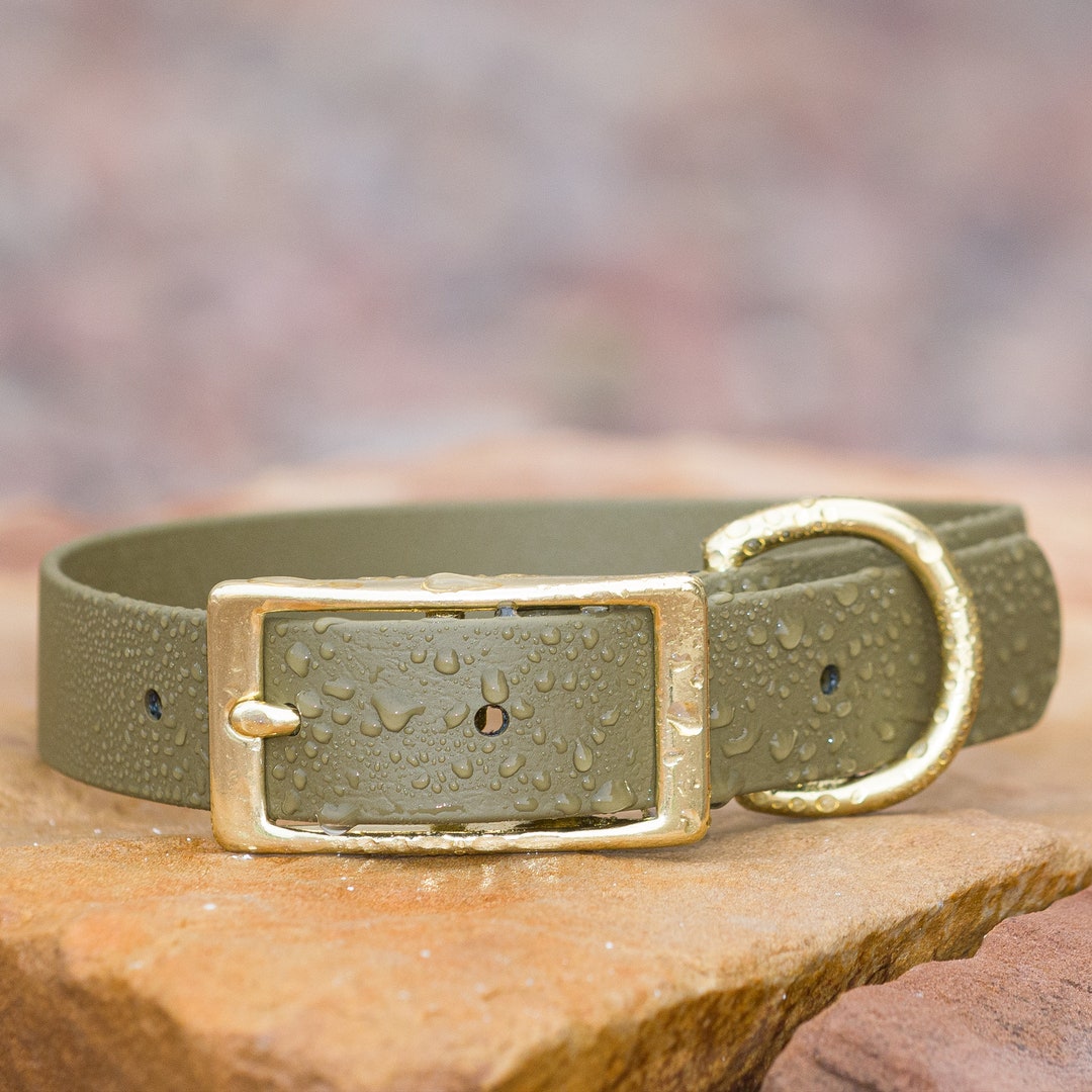 Biothane® Waterproof Buckle Dog Collar Olive Etsy
