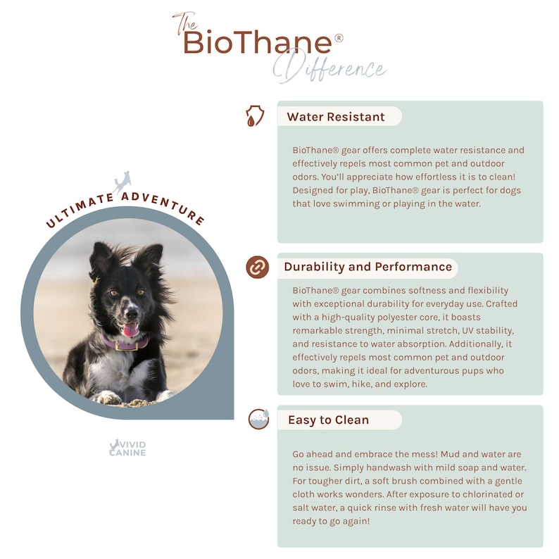 BioThane comparison chart showing waterproof, easy to clean, and odor-proof benefits