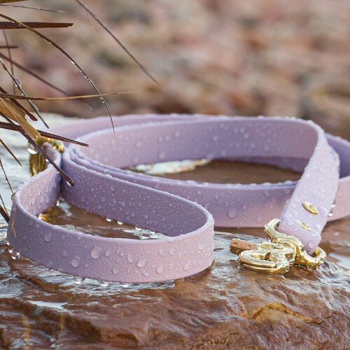 Create Your Own Standard Biothane Custom Dog Leash / 5/8 USA Etsy