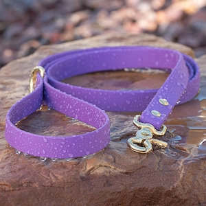 BioThane® Waterproof Dog Leash - Amethyst