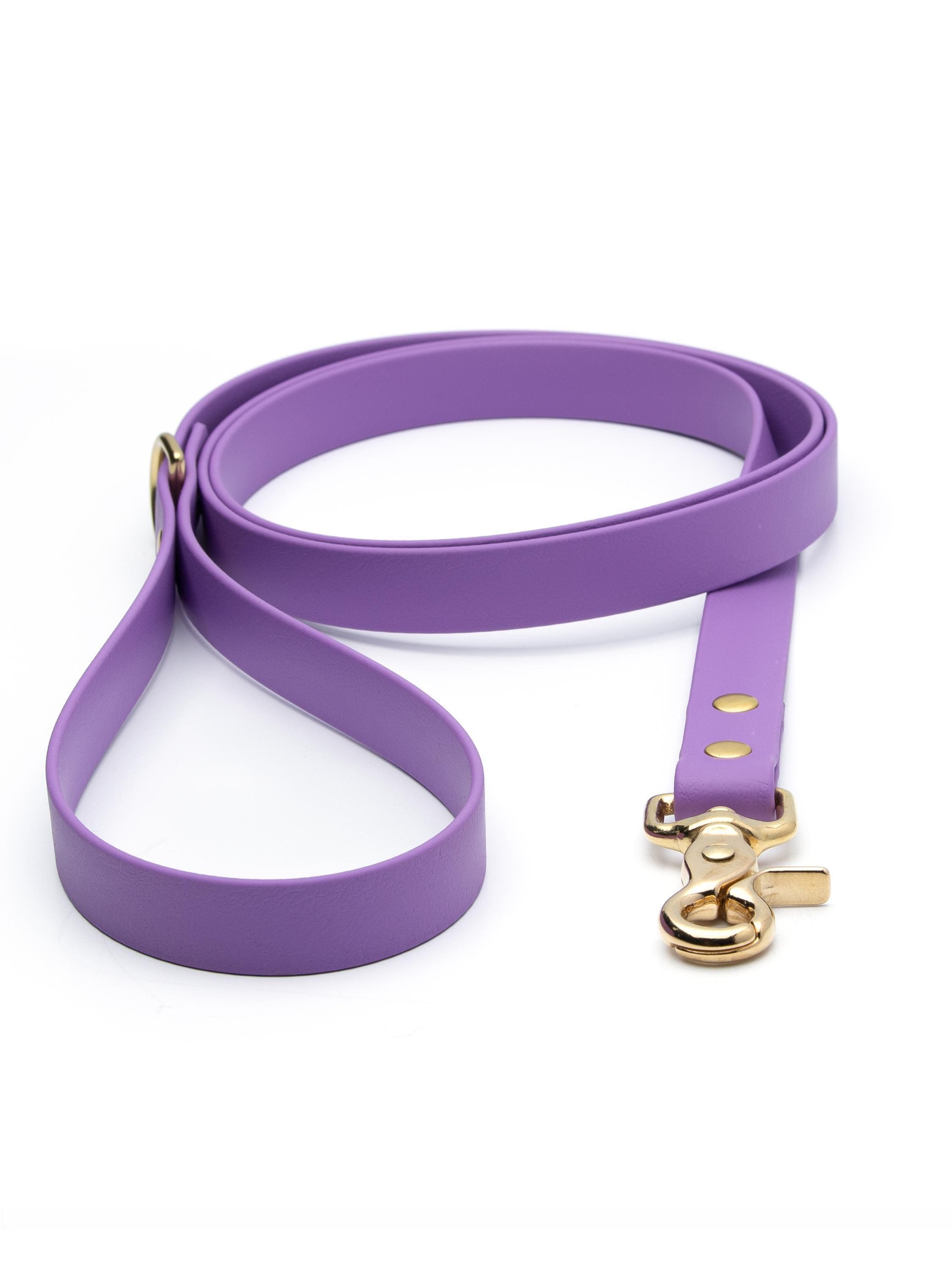 Biothane® Waterproof Dog Leash - Amethyst