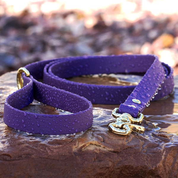 BioThane® Waterproof Dog Leash - Purple