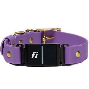 Fi Series 3 Compatible - BioThane® Waterproof Buckle Collar