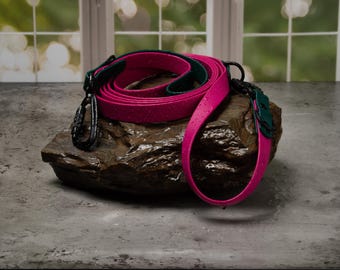 Biothane Waterproof Hands Free Leash