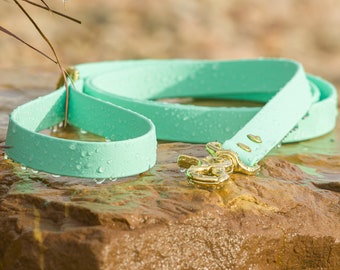 BioThane® Waterproof Dog Leash - Seafoam