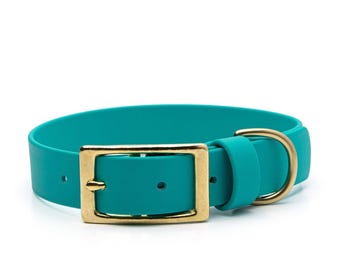BioThane® Waterproof Buckle Dog Collar - Teal