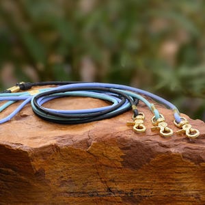 May include: A collection of dog leashes in various colors, including black, blue, and teal. Each leash features a gold-colored clasp. The leashes are coiled on a textured, reddish-brown rock, with a blurred green background.