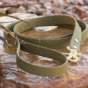 BioThane® Waterproof Dog Leash - Olive