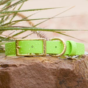 BioThane® Waterproof Buckle Dog Collar - Lime